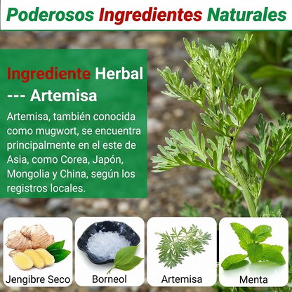 Cuello Duro, Hombros Cargados o Espalda Tensa? Sensación Tipo Masaje en Minutos